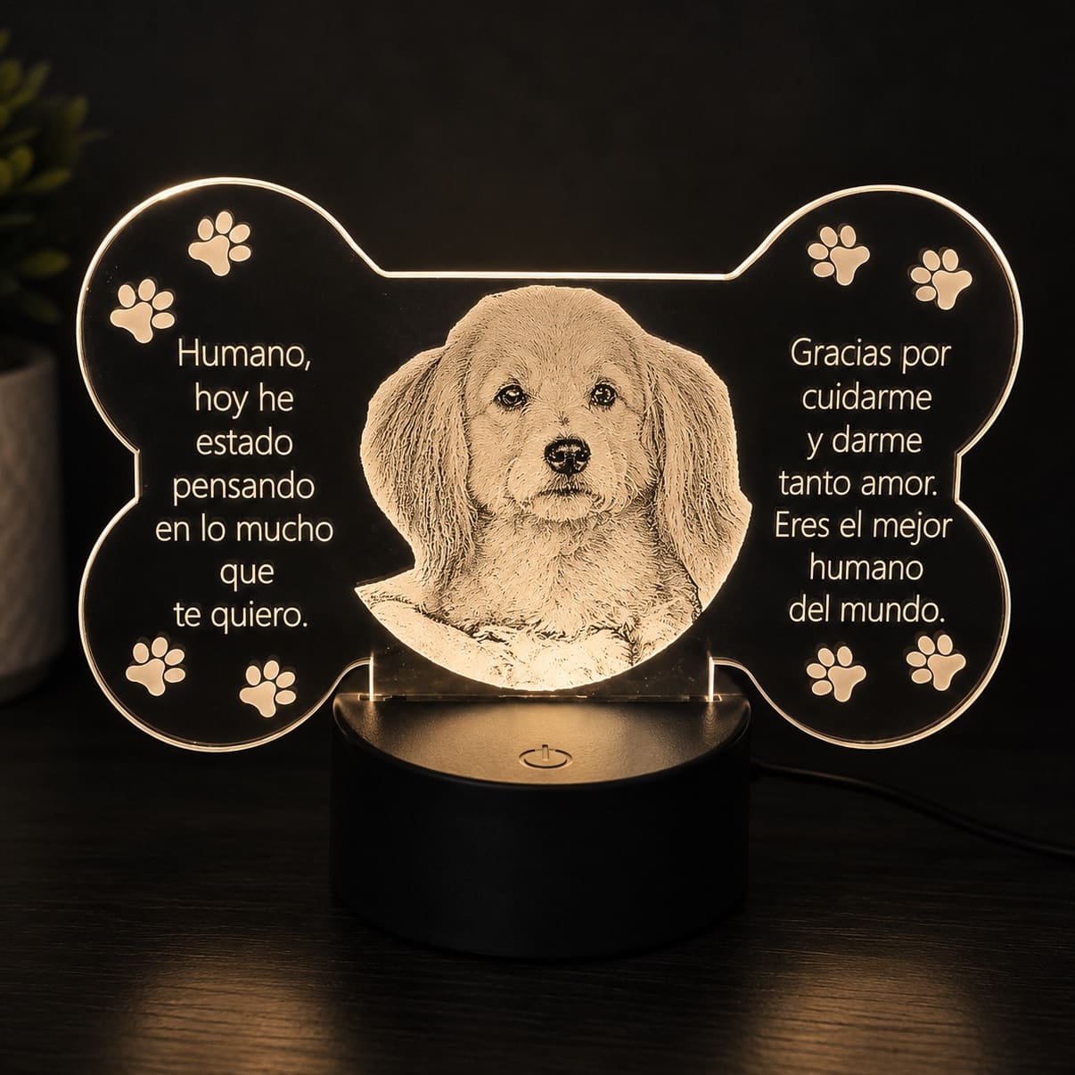2011-Lámpara LED Personalizada –  acrílico Huesito 1185